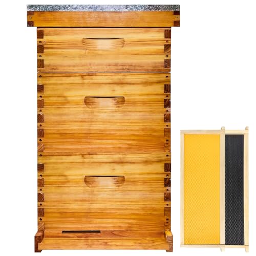 Gold Standard 10 Frame Bee Hive Beeswax Coated Includes Beehive Frames and Foundations (2 Deep Boxes & 1 Medium Box) - size: 10 Frames 3 Layers