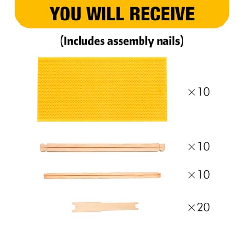 Honey Lake Deep Beehive Frames and Foundations Kit, 10 Pack Brood Wooden Frames and Natural Beeswax Dipped Plastic Foundation for Beekeeping - color: 10Pack-Yellow