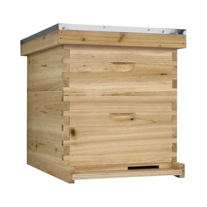NuBee Starter 10 Frame Beehive Kit - Includes 1 Hive Body, 1 Super Box, Pine Frames, Wax Coated Foundations and More