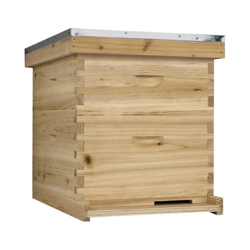 NuBee Starter 10 Frame Beehive Kit - Includes 1 Hive Body, 1 Super Box, Pine Frames, Wax Coated Foundations and More