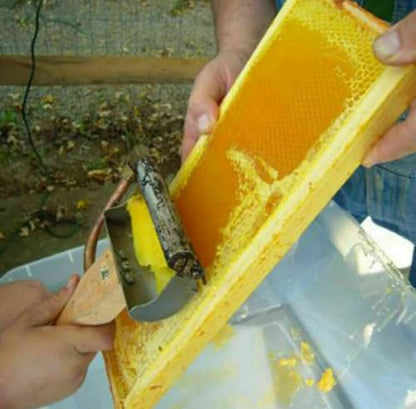Stainless Steel Electric Honey Uncapping Scrapper for Beekeeping, Electric Uncapping Tool