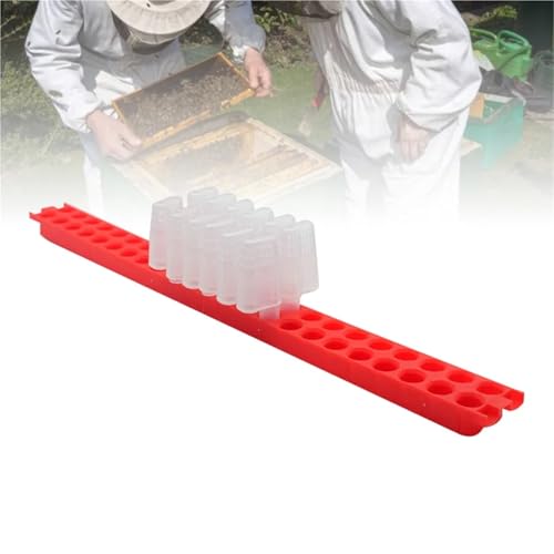 Queen Bee Cage 2pcs Queen Banking Shipping Bar Bee Frame Transport Box Moving Isolator Protection Case Cage Beekeeping Tools for Beekeeping Supplies(Bar+46Cages) - color: Bar+46Cages