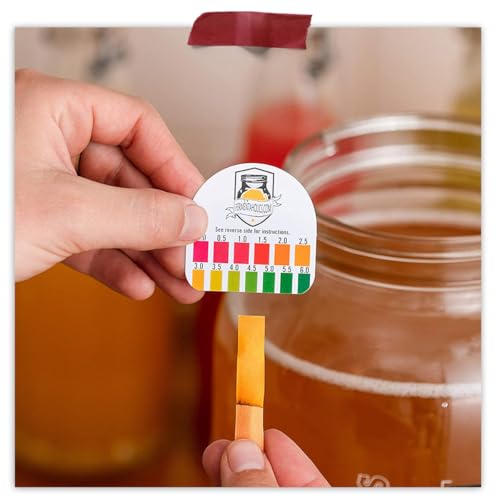 Fermentaholics The Complete Jun Kombucha Brewing Starter Kit, Organic - Make Jun Kombucha at home