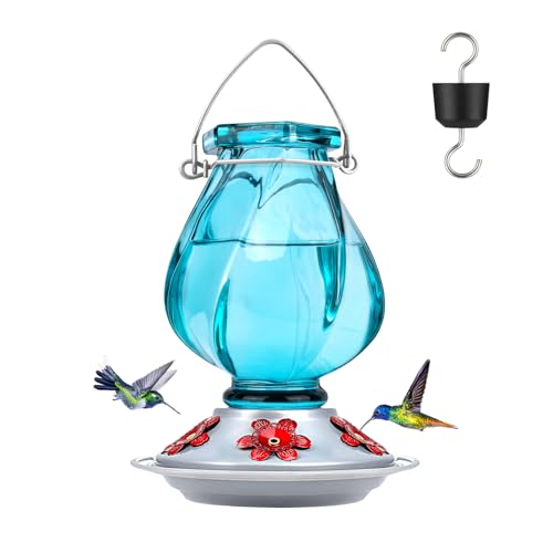 Hummingbird Feeder, BOLITE Glass Hummingbird Feeders for Outdoors Hanging, with Ant Moat and Five Feeding Ports, 22 Ounces, Leak Proof, Blue Bottle - color: Ruby Blue