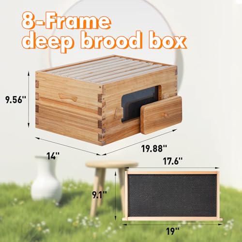 Honey Lake 8 Frame Beehive Deep Brood Box with Window, Langstroth Bee Hive Box Kit Dipped in Beeswax Include Wooden Frames & Waxed Foundations, Bee Boxes for Beekeeping Supplement (Unassembled) - size: 8-Frame