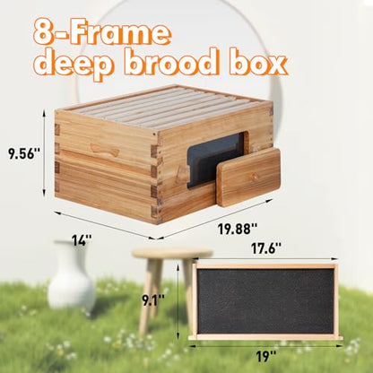 Honey Lake 8 Frame Beehive Deep Brood Box with Window, Langstroth Bee Hive Box Kit Dipped in Beeswax Include Wooden Frames & Waxed Foundations, Bee Boxes for Beekeeping Supplement (Unassembled) - size: 8-Frame