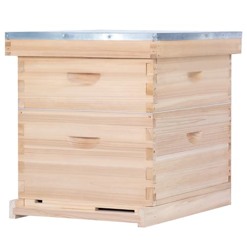 10 Frame Bee Hive, Compelte Bee Hive Starter Kit Includes 1 Deep Brood Honey Bee Hives Box, 1 Medium Super Bee Box with Beehive Frames and Foundation Sheets - size: 2-Layre