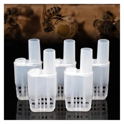 100Pcs Queen Bee Cages Beekeeping Protection Isolation Plastic White Move Tools