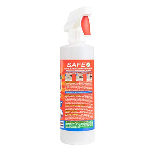 Absolutely Clean Amazing 60 Second Stain Remover - Powerful, Natural Enzymes Remove Food, Grease, Pet Stains & More, Fast & Easy - Fragrance Free - Eco Friendly - USA Made (16oz Pack of 1) - style: 16 Fl Oz (Pack of 1)