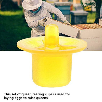 TOPINCN Beekeeping Queen Rearing Cell Cups Plastic Harmless Bee Keeper Equipment Tool Apiculture Supply Hive Frame Accessories 50pcs (Yellow)