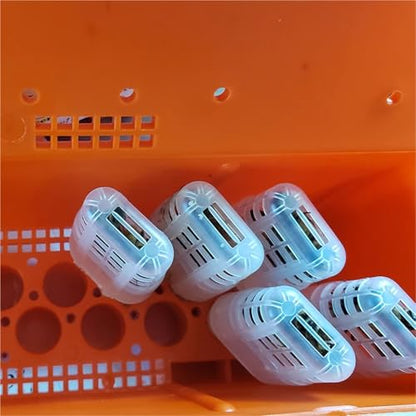 Queen Bee Cage 2sets Queen Bee Transport Cage Queen Bees Shipping Carton Queen Rearing Incubator Bee Moving Isolator Protection Case Beekeeping Tools for Beekeeping Supplies