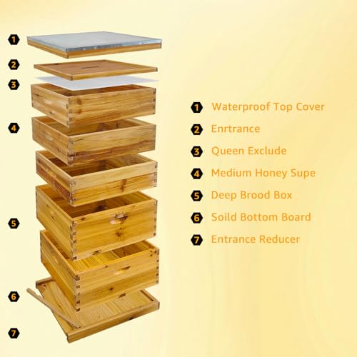 Beeswax Coated Bee Hive Starter Kit, 5-Layer Langstroth Beehive with 2 Deep and 3 Medium Super Boxes, 10-Frame Wax Dipped Wood Bee House Includes Metal Top Cover & Queen Excluder (No Frames)
