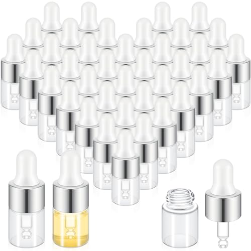Didaey 100 Pcs 1/2/3/5/10/15 ml Mini Glass Oil Dropper Bottle Bulk, Clear Essential Small Empty Bottles Sample Containers Perfume Liquid Vials with Cap for Traveling (2 ml,Classic Silver) - color: Classic Silver, size: 2 ml