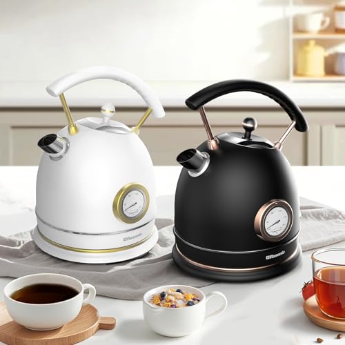 Rasonic Retro Electric Kettle Stainless Steel, 1.8L Tea Water Boiler, 1500W Fast Quiet Boil, Temperature Gauge, Auto Shut-Off, Boil-Dry Protection, Matt Black and Rose Gold - color: Black