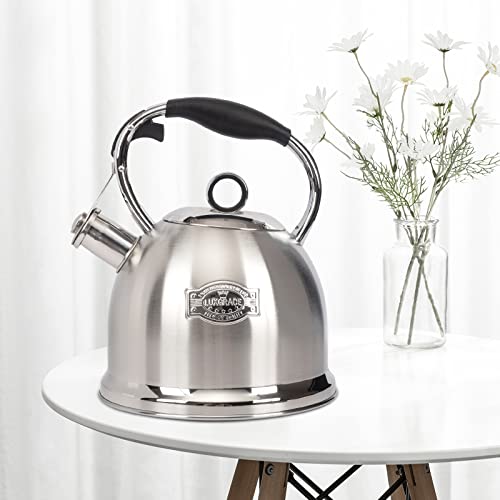 Tea Kettle for Stovetop, Food Grade Stainless Steel Water Kettle, Tea Pot for Home & Kitchen, 3.0 Qt - color: Silver