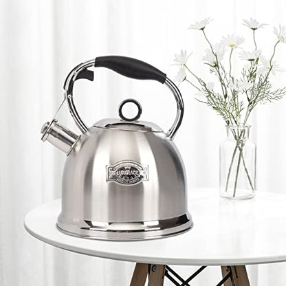 Tea Kettle for Stovetop, Food Grade Stainless Steel Water Kettle, Tea Pot for Home & Kitchen, 3.0 Qt - color: Silver