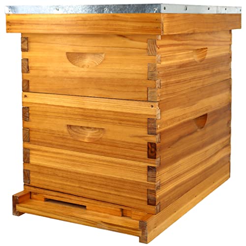 8 Frame Bee Hive Complete Beehive Kit Dipped in Beeswax Include Beehive Frames and Waxed Foundation Sheets for Beekeeping (1 Deep Brood & 1 Medium Super Bee Boxes) - size: 2 layer
