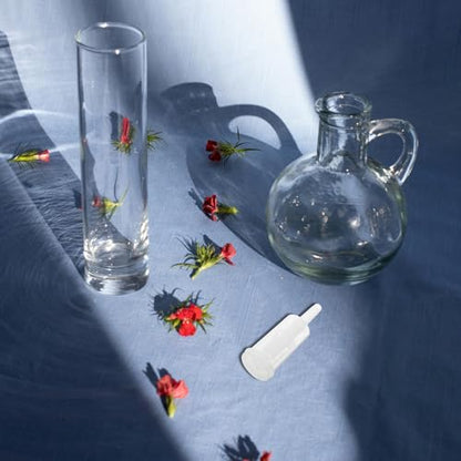 6pcs Home Brew 3pcs Water Valves with Grommets, Plastic Airlocks for Beer and Wine Fermentation Accessories Random Color