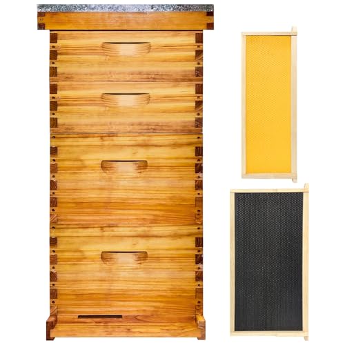 10 Frame Langstroth Bee Hive Beeswax Coated Includes Beehive Frames and Foundations (2 Deep Boxes & 2 Medium Boxes)