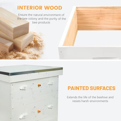 BeeTech 10 Frame Langstroth Beehive Medium Super Box Painted Not Includes Wooden Frames & Waxed Foundations (Unassembled)