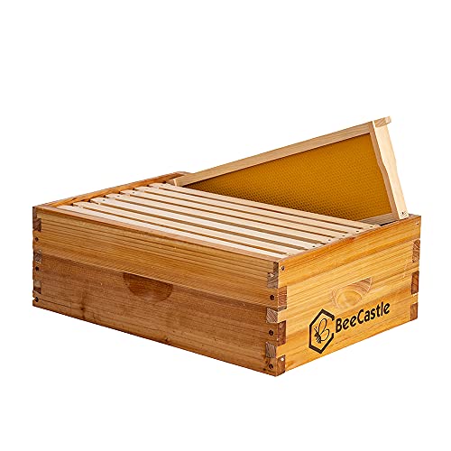 BeeCastle 8 Frame Medium Super Bee Hive Box, Langstroth Honey Bee Hive Dipped in 100% Beeswax Include Beehive Frames and Wax Foundations (Unassembled) - size: 8-Frame
