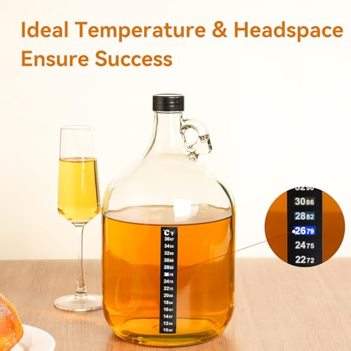 Mead Making Kit for Beginners - Complete Home Brewing Starter Set with Reusable Supplies, 1 Gallon Honey Wine Fermentation Jar with Yeast & Nutrients Airlock Stopper Hydrometer & Operation Guide - size: 1 Gallon Kit