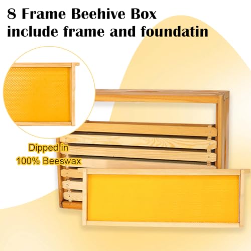 POLLIBEE 8 Frame Medium Super Bee Box, Assemble Bee Hive Box, Dipped in 100% Beeswax, Include Beehive Frames and Bee Hive Foundation