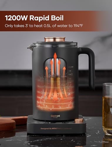 Electric Tea Kettle, INTASTING Glass Electric Kettle with tea Infuser and Precise knob temperature control, 1200W Fast Heating, BPA-Free, Easy to Clean, 1 Liter (Dark Gray) - color: Dark Gray