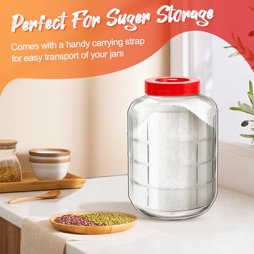 Havawish 2 Pcs 5 Gallon Glass Jar with Airlock Lid Large Storage Glass Jars Wide Mouth Carboy Fermentor with Carrying Harness Fermentation Container Jug for Wine Making