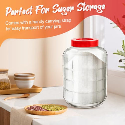 Havawish 2 Pcs 5 Gallon Glass Jar with Airlock Lid Large Storage Glass Jars Wide Mouth Carboy Fermentor with Carrying Harness Fermentation Container Jug for Wine Making