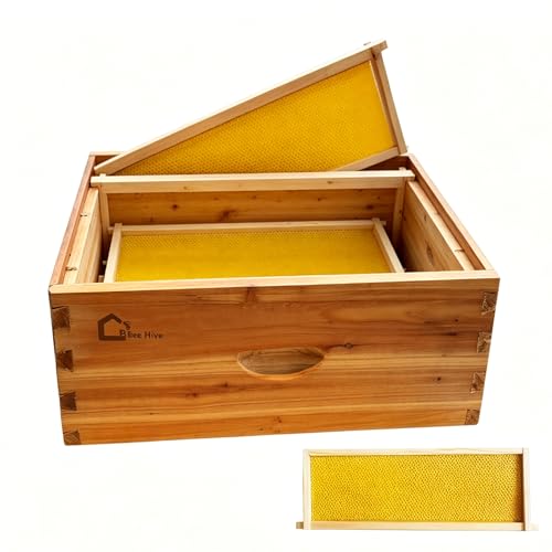 10-Frame Medium Super Beehive Box Kit, Langstroth Cedarwood Beeswax Coated Beehive with Dovetail Joints, Frames & Wax Foundations, Waterproof Easy Assembly Beekeeping Supplies