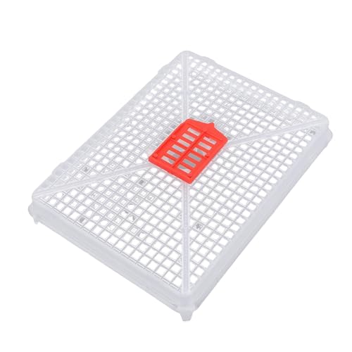 Fdit Square Buckle Queen Bee Cage, Plastic Rearing Cage for Beekeeping with Fine Mesh Grid, Food Grade Lightweight Tool, Introduction of Queens, Anti Escape