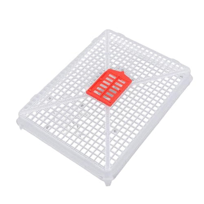 Fdit Square Buckle Queen Bee Cage, Plastic Rearing Cage for Beekeeping with Fine Mesh Grid, Food Grade Lightweight Tool, Introduction of Queens, Anti Escape