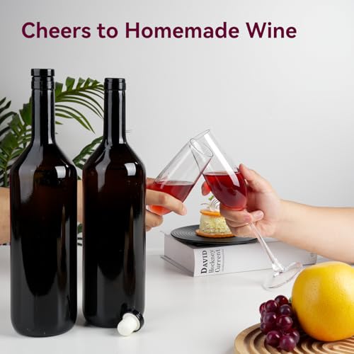 Wine Making Kit Home Brewing - Complete Grape Juice Brew Starter Set for Beginners, 1 Gallon Glass Fermentation Jar with 4 Bottles, Yeast & Nutrients, Siphon, Airlock and Step-By-Step Guide