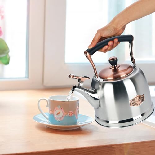 Tea Kettle Stainless Steel Teapot, Stainless Steel Teakettle for Stove Top with Heat Proof Ergonomic Handle 3.0 Quart - color: Silver, size: 3 Quarts