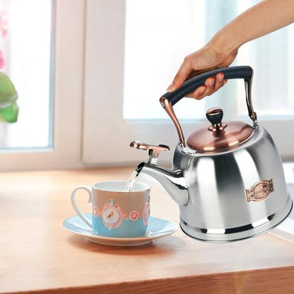 Tea Kettle Stainless Steel Teapot, Stainless Steel Teakettle for Stove Top with Heat Proof Ergonomic Handle 3.0 Quart - color: Silver, size: 3 Quarts