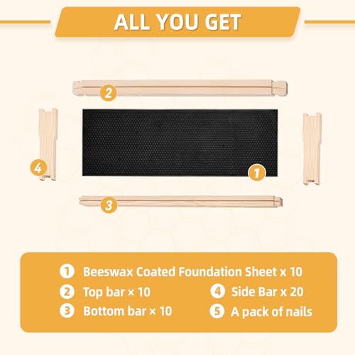 Medium Beehive Frames and Wax Foundations,10 Pack Honey Bee Frames with Wooden Bee Hive Frames and 100% Beeswax Coated Foundations, 6-1/4-Inch (Black) - size: 10 Pack Medium Frames-Black
