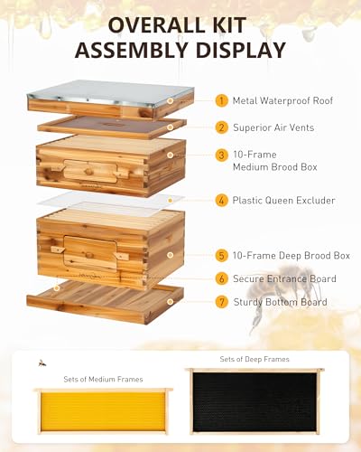 Bee Hive 10 Frame Bee Box Starter Kit, Beeswax Coated Bee Hives | 1 Deep + 1 Medium Langstroth Beehive Kit, Beekeeping Supplies with Transparent Plastic Window and Queen Excluder - size: 1Deep+1Madium Bee Box