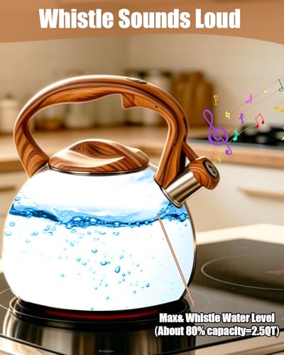 Misswater Tea Kettle for Stove Top,3.1QT Whistling Tea Kettle | Food Grade Stainless Steel,Loud Whistling Kettle,Heat-Resistant Handle,Suitable for All Heat Sources, Suit for boiling water