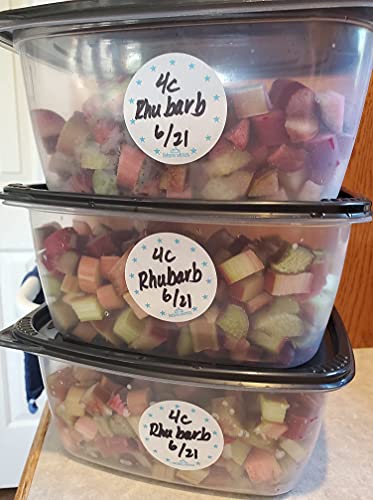 Dissolvable Food Labels for Canning, Pantry, Food Containers, and Mason Jar Food Prep Storage and Organization - Made in USA - Completely Washes Away -250 Labels - 2 Inch Round - color: Teal Round