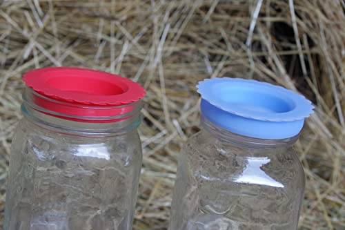 Masun Silicone mason jar lids Made to fit Wide and Regular Mouth mason jar 4 Pack (Red, Blue 4 Pack) - color: Red, Blue 4 Pack