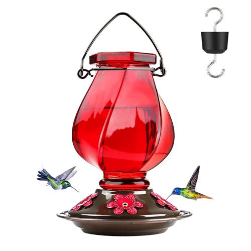 Hummingbird Feeder, BOLITE Glass Hummingbird Feeders for Outdoors Hanging, with Ant Moat, 5 Bee-Proof Ports, 360° Perch, Leak-Proof, 22oz, Red, Birthday Gifts for Women Men, Gifts for Mom Dad - color: Ruby Red