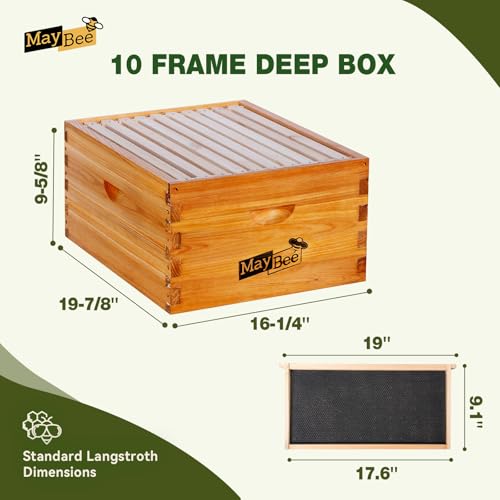 MayBee 10-Frame Langstroth Beehive Dipped in 100% Beeswax, Complete Bee Hives and Supplies Starter Kit Includes 2 Deep Hive Bee Box and 2 Bee Hive Super with Beehive Frames and Foundation
