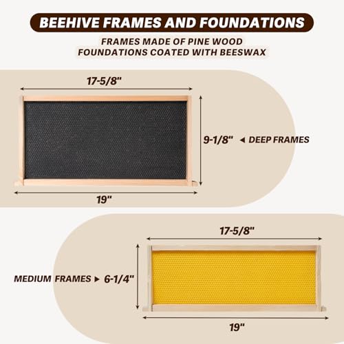 10-Frame Langstroth Bee Hive Complete Bee Hive Kit Beeswax Coated Include Beehive Frames and Waxed Foundation Sheets for Beekeeper (2 Deep Beehives Box & 1 Medium Box)