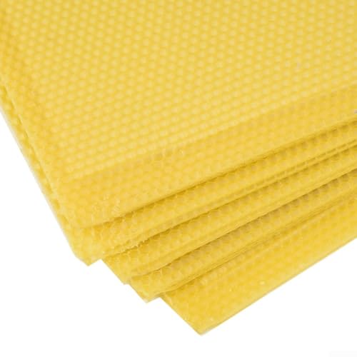 Plastic Bee Hive Foundation with Natural Beeswax Coating 10 Pack - No Reinforcement Needed for Deep Frames 8.26x16.65