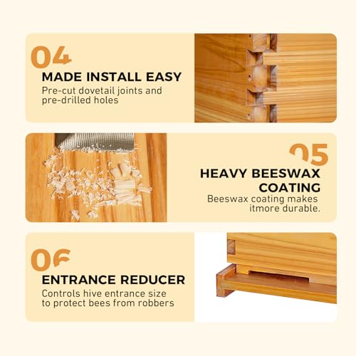 POLLIBEE 10 Frame Bee Hive, Beehive Kit Includes 2 Deep Brood Bee Boxes, 2 Medium Beehive Boxes,Comes with Assembly Screws (No Frames or Foundations)