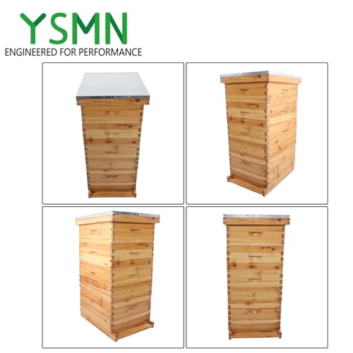 8 Frame Langstroth Bee Hive Coated with Beeswax Includes Beehive Frames and Waxed Foundations (2 Deep Boxes 2 Medium Boxes)