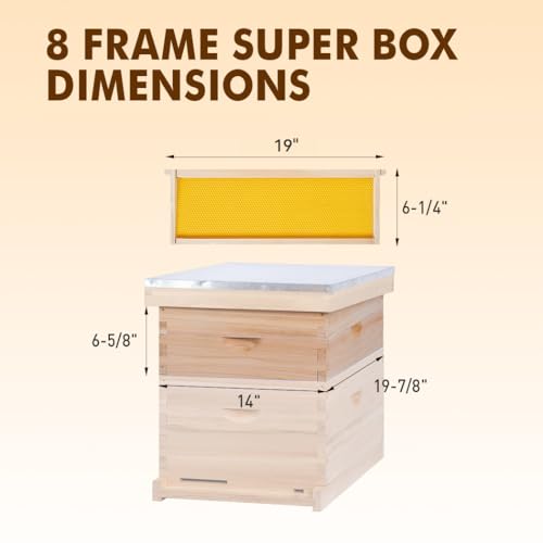 8 Frame Medium Super Beehive Box,Langstoth Super Honey Bee Hive Box, Include Beehive Frames and Waxed Foundations - size: 8 Frame