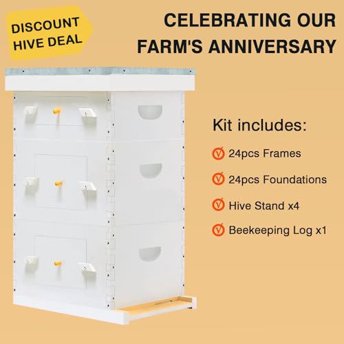 Hand-Painted 8-Frame Beehive with Windows - 2 Deep Brood Boxes & 1 Medium Super Box, Includes Frames & Foundations