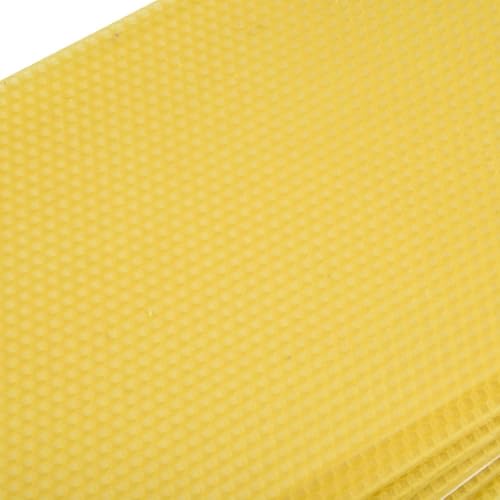 Plastic Bee Hive Foundation with Natural Beeswax Coating 10 Pack - No Reinforcement Needed for Deep Frames 8.26x16.65
